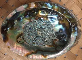 Abalone Shell Smudge Bowls