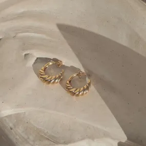 Nautilus Shell Hoops // 14k gold