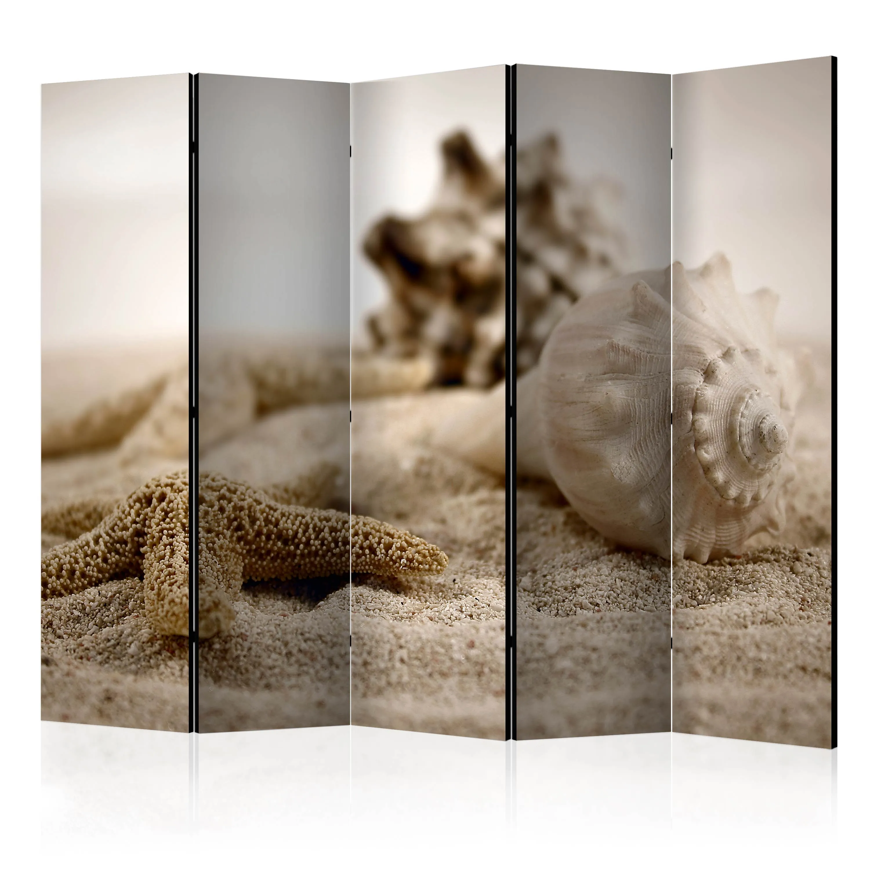 Paravento Beach and shell II [Room Dividers]