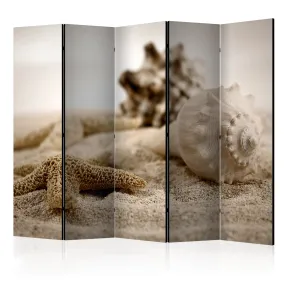 Paravento Beach and shell II [Room Dividers]