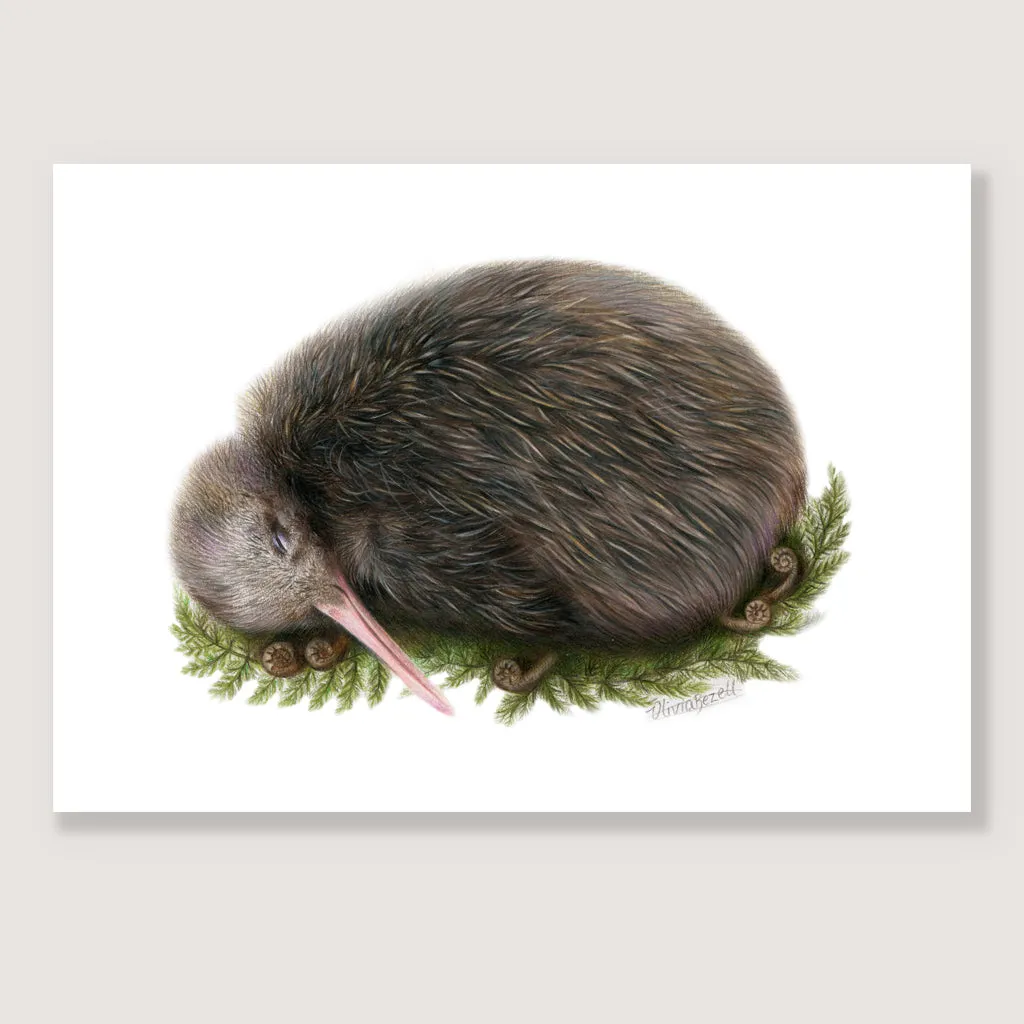 SALE - Sleeping Kiwi print A5