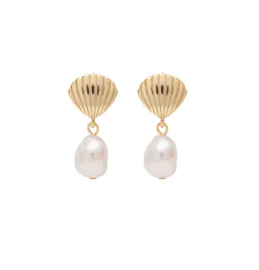 Shell Pearl Earrings