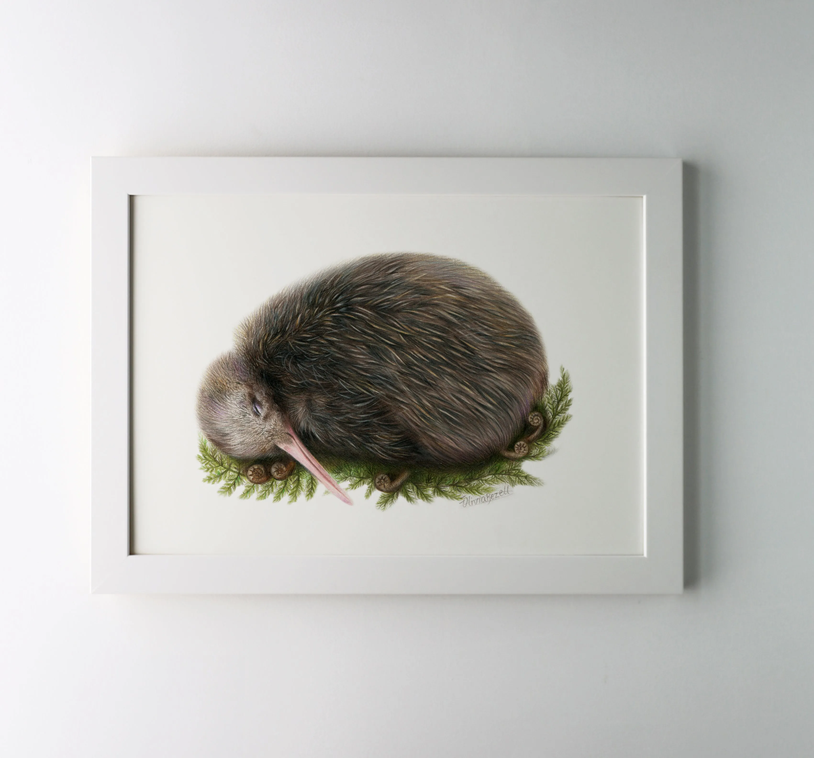 Sleeping Kiwi Print