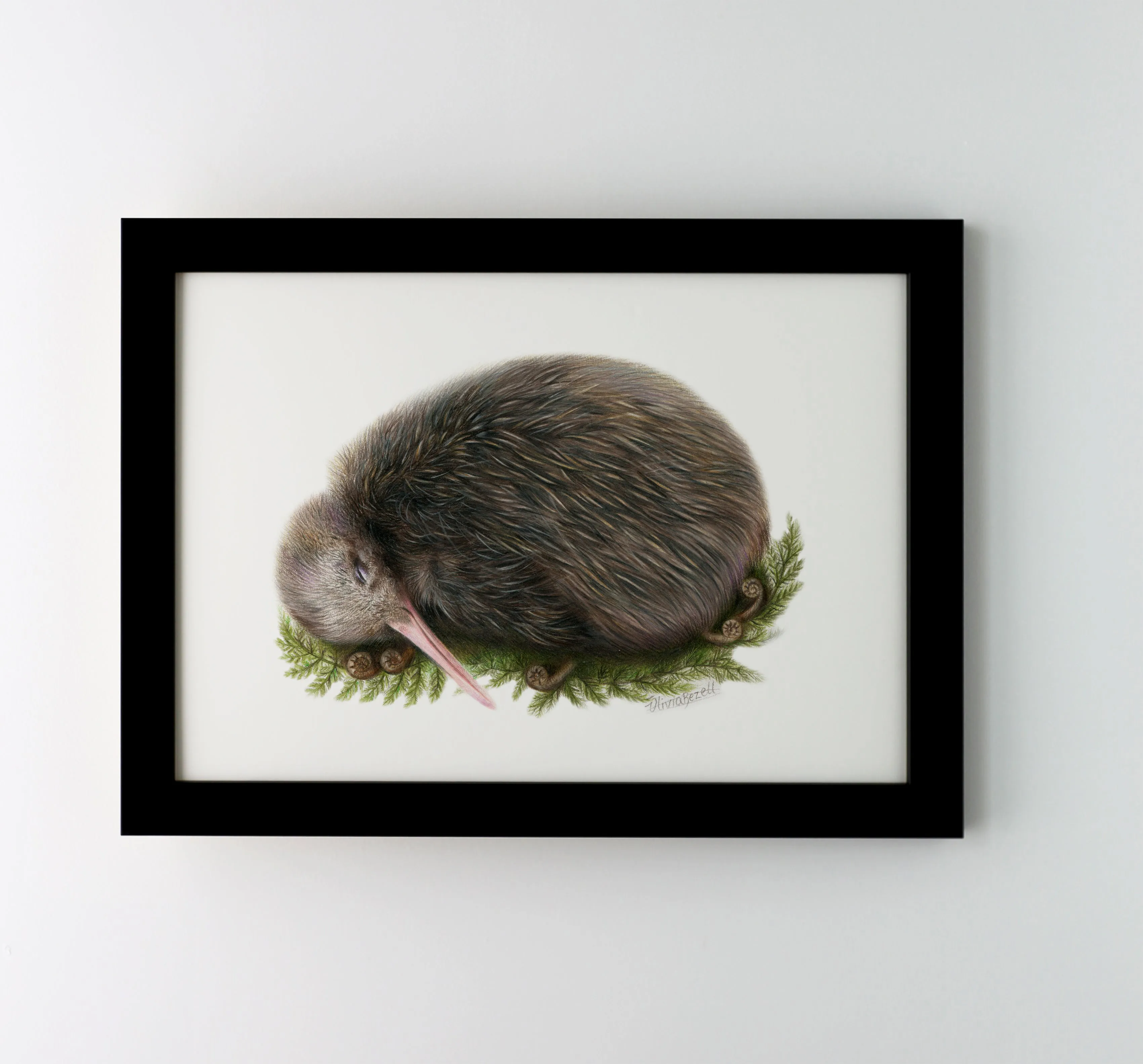 Sleeping Kiwi Print