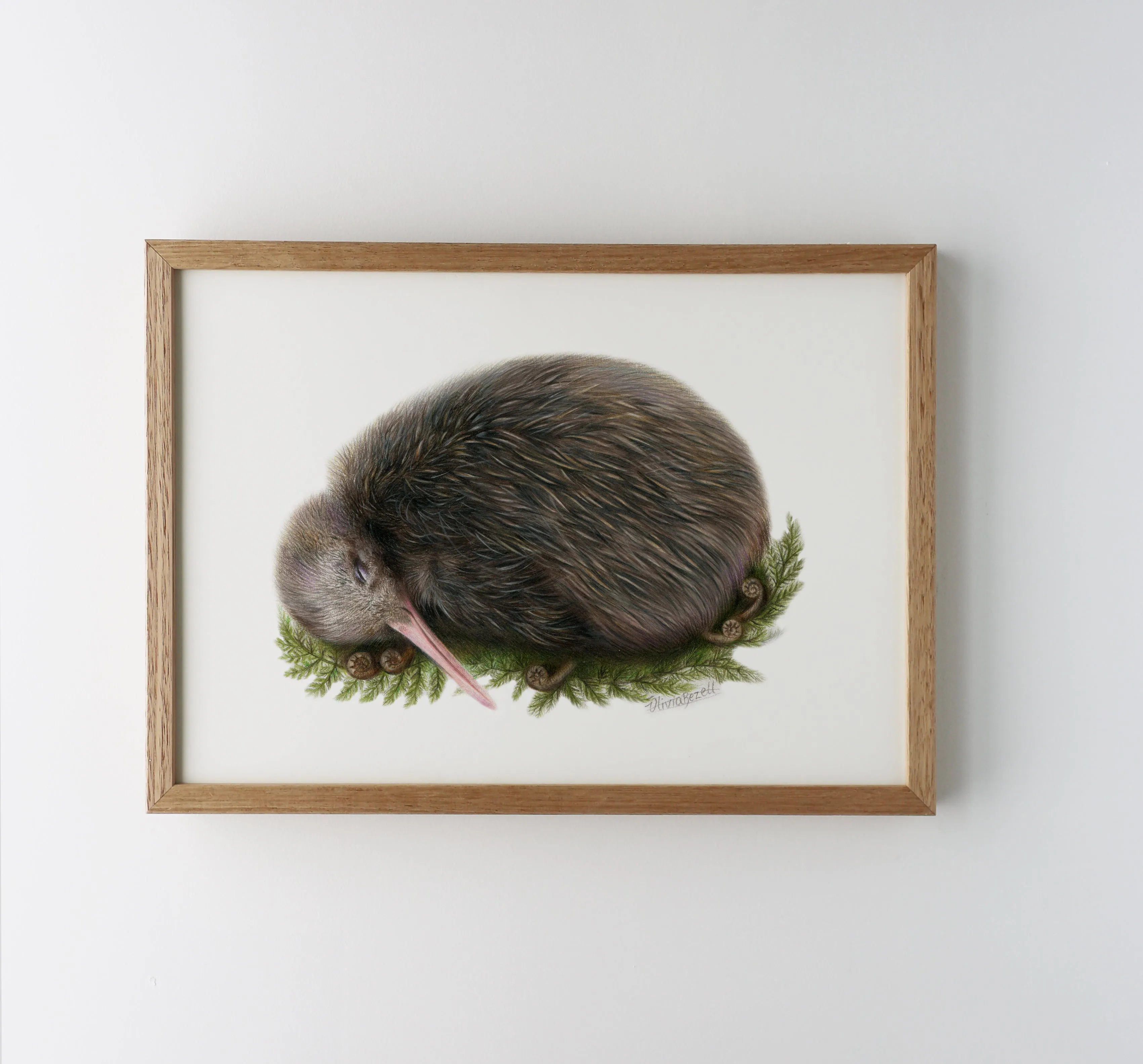 Sleeping Kiwi Print